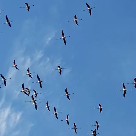 Benny's Rose House Κάλιαρι